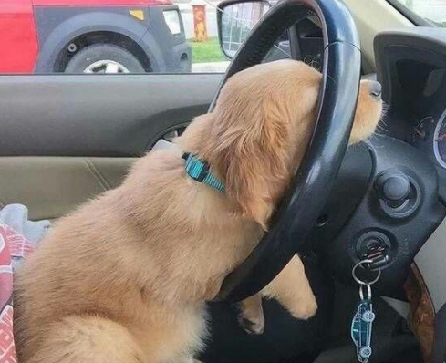 三一二植树节活动策划方案