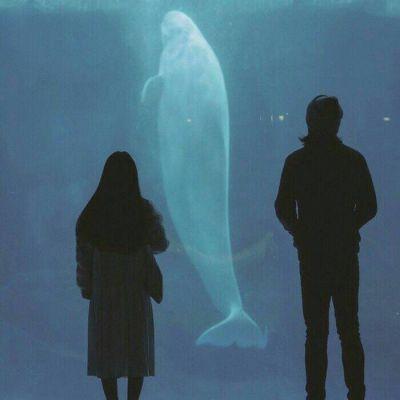 综合实践的活动方案